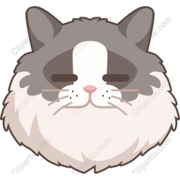 Fluffy Cat