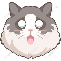 Playful Cat Face