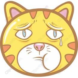 Sad Cat Expression