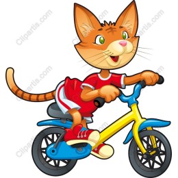 Bicycling Cat