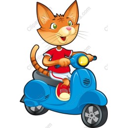 Cheerful Cat on Scooter