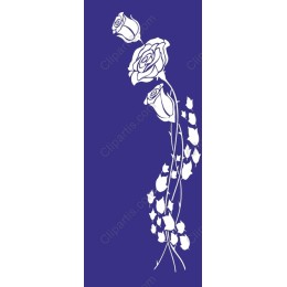 Elegant White Roses