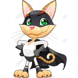 Superhero Cat