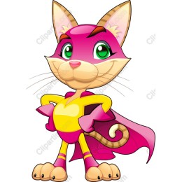 Superhero Cat