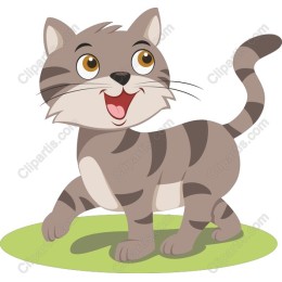 Playful Cat