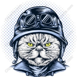 Aviator Cat