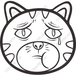Sad Cat Face