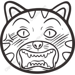 Expressive Cat Face