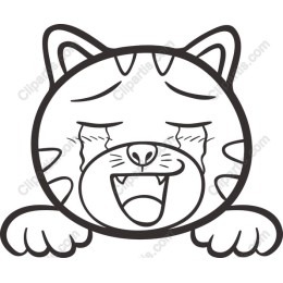 Crying Cat Face