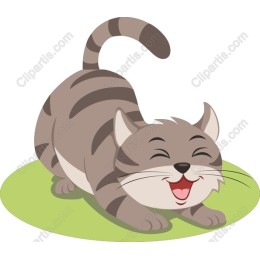 Playful Happy Cat