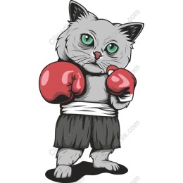 Boxing Cat