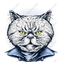 Grumpy Cat