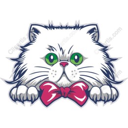 Fluffy Cat with Bowtie