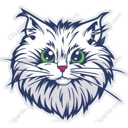 Whimsical Cat Portrait