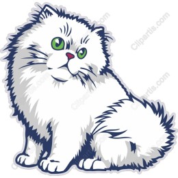Fluffy White Cat