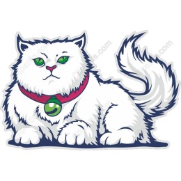 Majestic White Cat