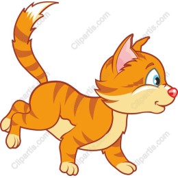 Playful Orange Cat