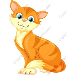 Charming Orange Cat
