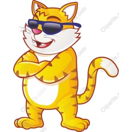 Cool Cat Character