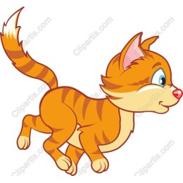 Playful Orange Cat