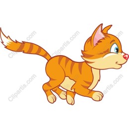 Playful Orange Tabby Kitten