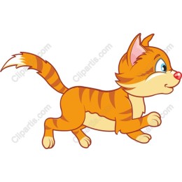 Charming Orange Cat