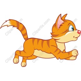 Playful Orange Kitten
