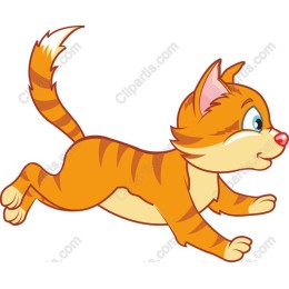 Playful Orange Cat