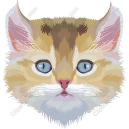 Charming Cat Face