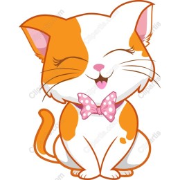 Cheerful Orange and White Cat