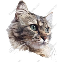 Charming Cat Head