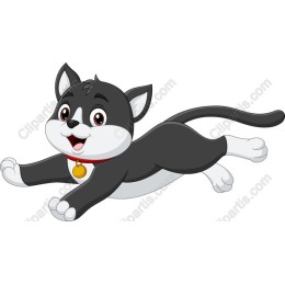 Playful Jumping Cat