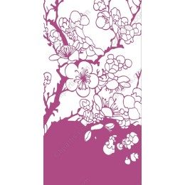 Delicate Cherry Blossom