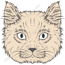 Whimsical Cat Head