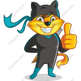 Ninja Kitty
