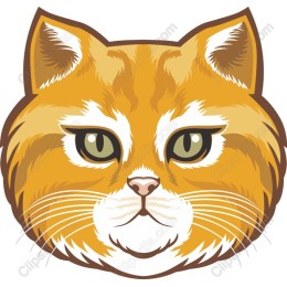 Vintage Cat Head