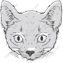Elegant Cat Face