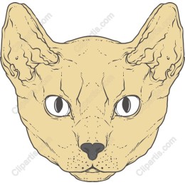 Feline Majesty: Detailed Cat Head
