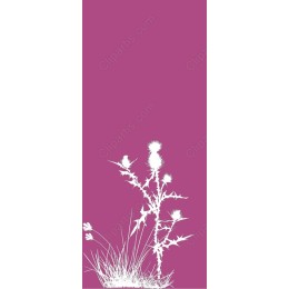 Thistle