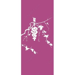 Grapevine - Nature's Elegance
