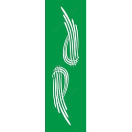 Elegant Flowing Lines