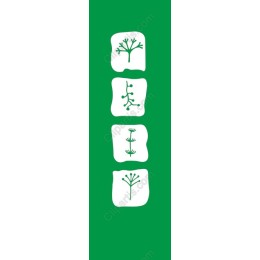 Botanical Elegance Set