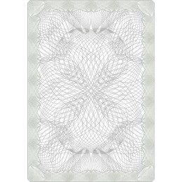 Elegant Lace Border