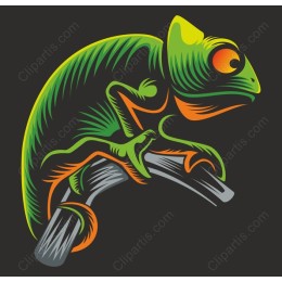 Vibrant Chameleon