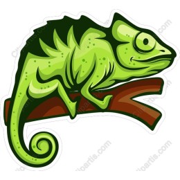 Vibrant Chameleon