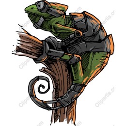 Cyber Chameleon
