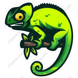 Chameleon Charm
