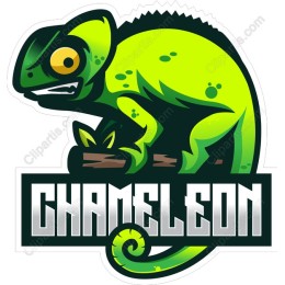 Vibrant Chameleon