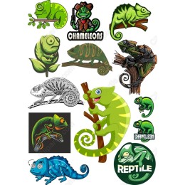 Chameleon Bundle