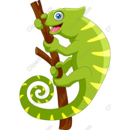 Charming Chameleon